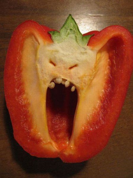 Daily picdump