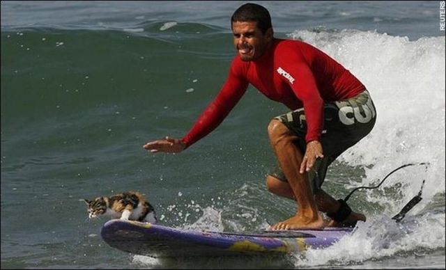 Daily picdump