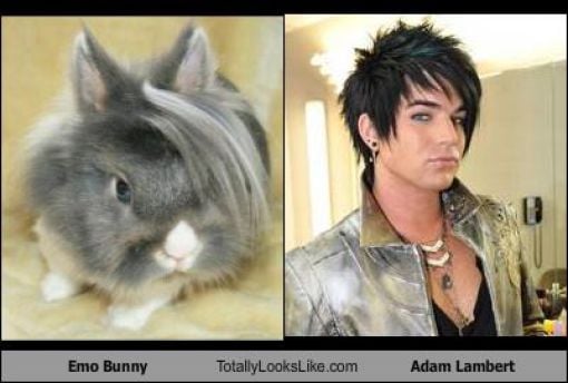 Funny Look Alikes. Part 5