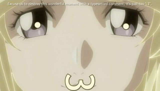 Priceless Anime Subtitle Foolery