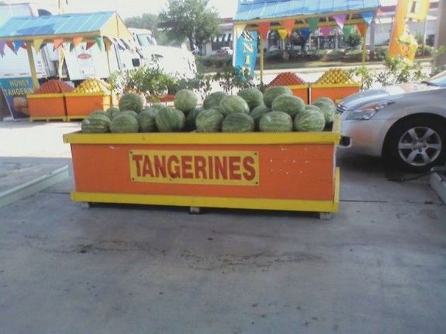 Daily picdump [WEEKEND EDITION]