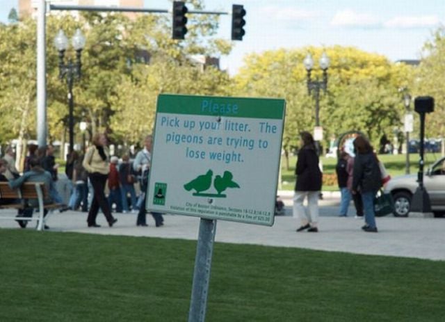 Only in America Scenes Prove Unique and Disturbing