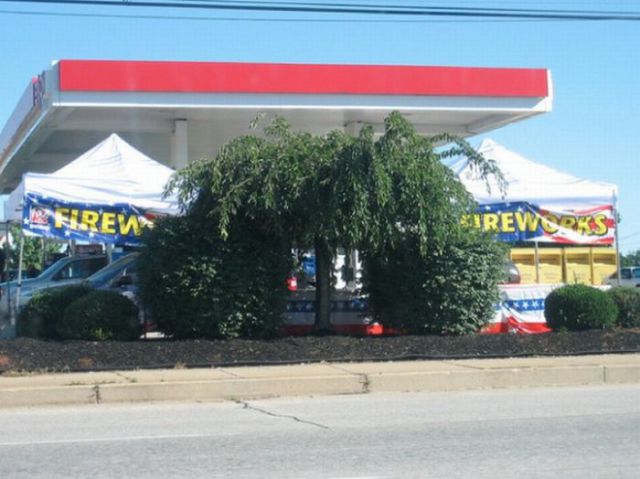 Only in America Scenes Prove Unique and Disturbing