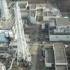 wretched and filthy living conditions 29 pics.html - 29 HD Photos | Premium Gallery 2011