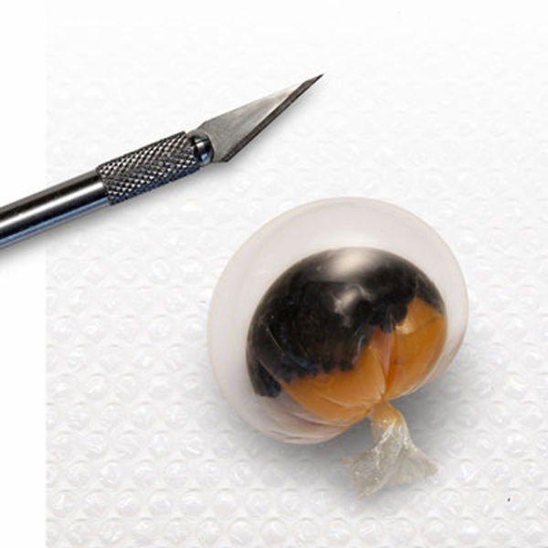 The Most Beautiful Dishes around the Globe