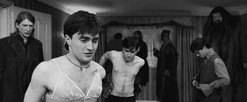 Friday Gif Selection