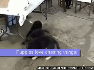 Friday Gif Collection