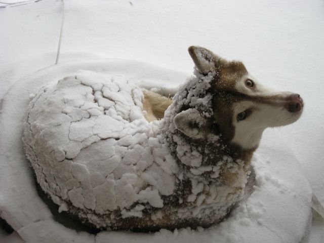Daily picdump [WEEKEND EDITION]