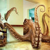 hilarious photoshop fails 22 pics.html - 22 HD Photos | Premium Gallery 2012