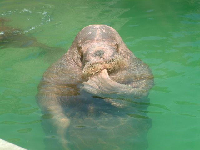 Daily picdump [WEEKEND EDITION]