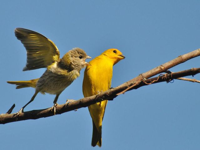 Daily picdump [WEEKEND EDITION]