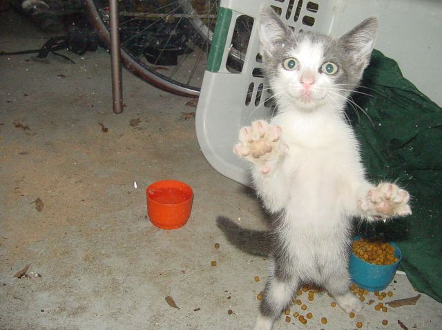 Daily picdump [WEEKEND EDITION]