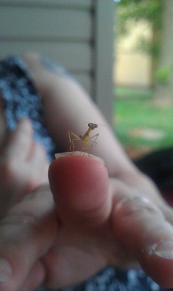 Daily picdump [WEEKEND EDITION]