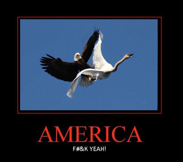 Patriotic American Demotivators