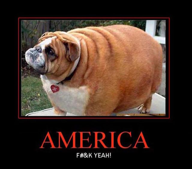 Patriotic American Demotivators