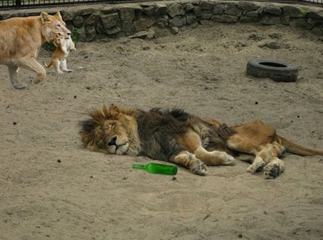 Daily picdump