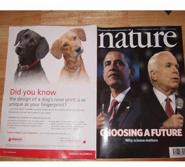 Advertisements in Bad Places