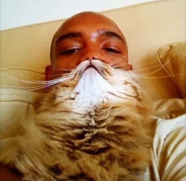 Daily picdump