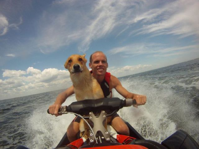 Daily picdump