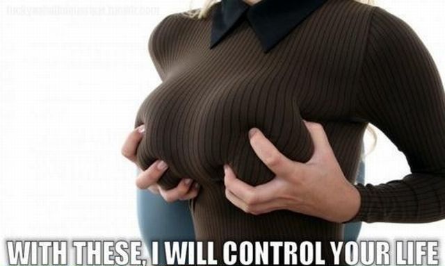 Daily picdump