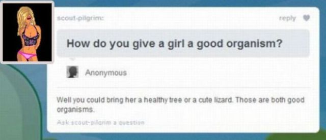 Daily picdump