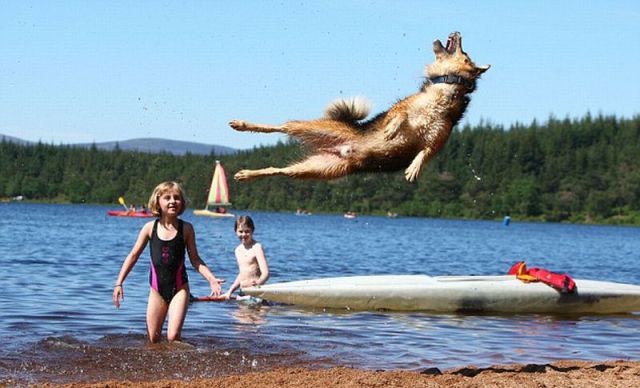 Daily picdump