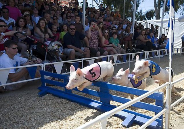 Daily picdump [WEEKEND EDITION]