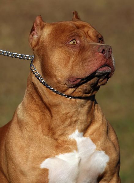 Daily picdump [WEEKEND EDITION]