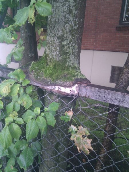 Daily picdump [WEEKEND EDITION]