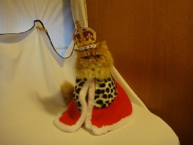 Daily picdump [WEEKEND EDITION]