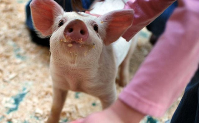 Daily picdump [WEEKEND EDITION]