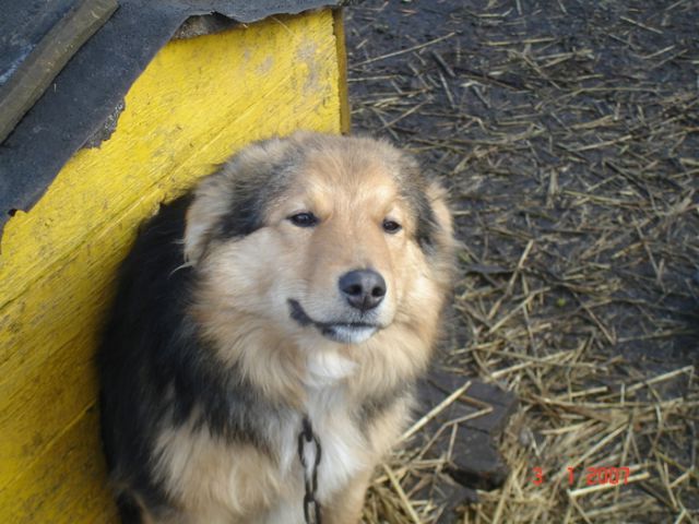 I Have Been Photoshopped!