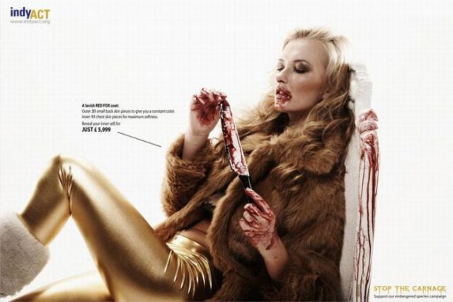 Shocking and Scary Ads