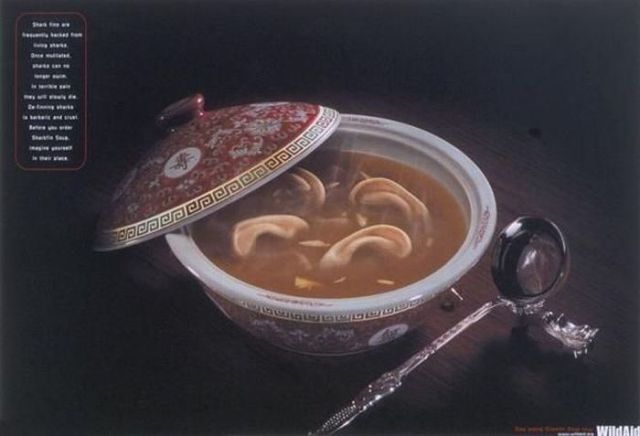 Shocking and Scary Ads