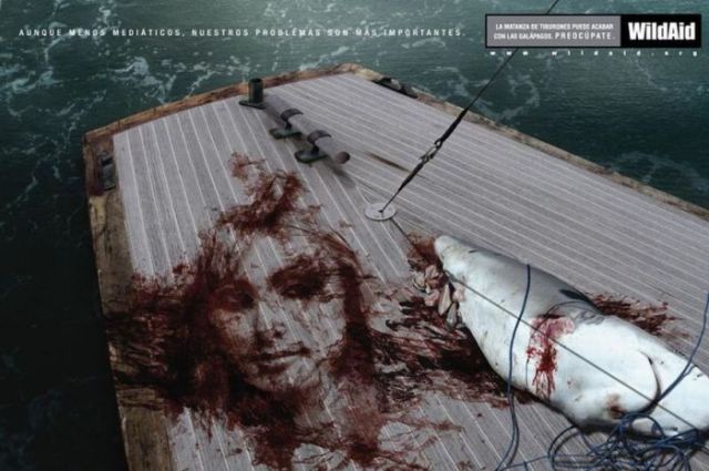 Shocking and Scary Ads