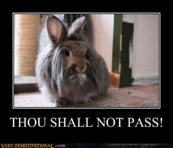 Demotivators Picdump