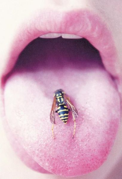 daily picdump 100 pics 26.html - 100 HD Photos | Premium Gallery 2011