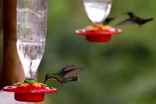 daily picdump 100 pics 26.html - 100 HD Photos | Premium Gallery 2011