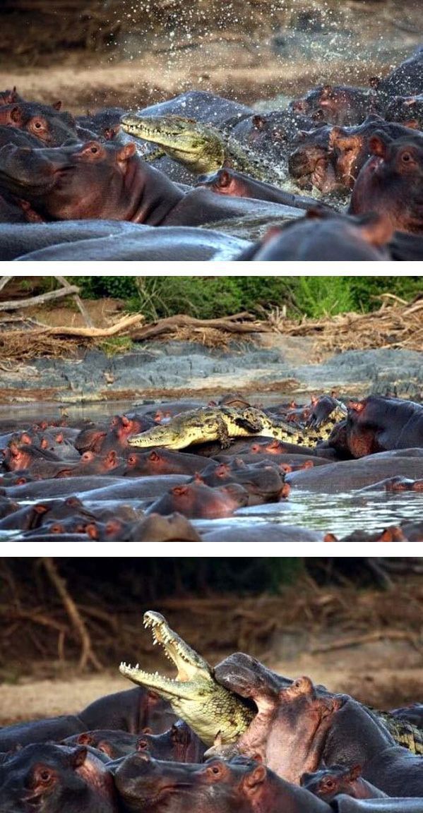 daily picdump 100 pics 26.html - 100 HD Photos | Premium Gallery 2011