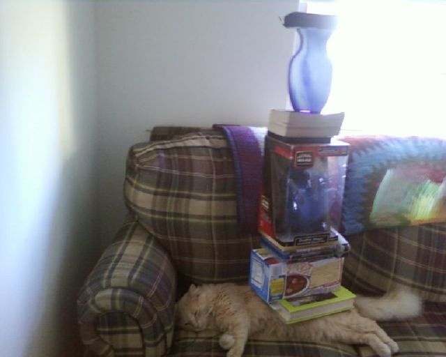 morning picdump 69 pics 7.html - 69 HD Photos | Premium Gallery 2011