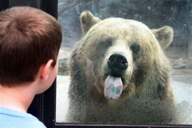 morning picdump 60 pics 8.html - 60 HD Photos | Premium Gallery 2011