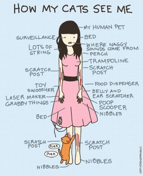 morning picdump 60 pics 8.html - 60 HD Photos | Premium Gallery 2011