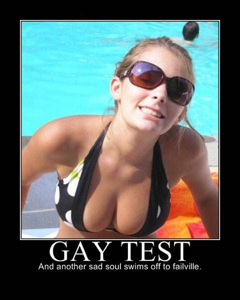 Demotivational Posters Test If You’re Gay