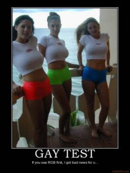 Demotivational Posters Test If You’re Gay