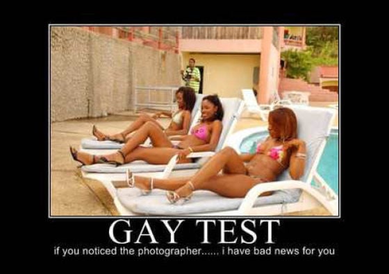 Demotivational Posters Test If You’re Gay