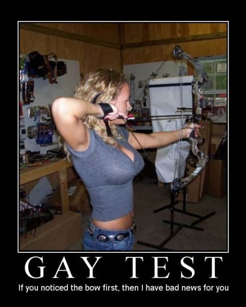 Demotivational Posters Test If You’re Gay