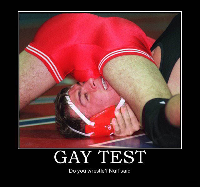 Demotivational Posters Test If You’re Gay