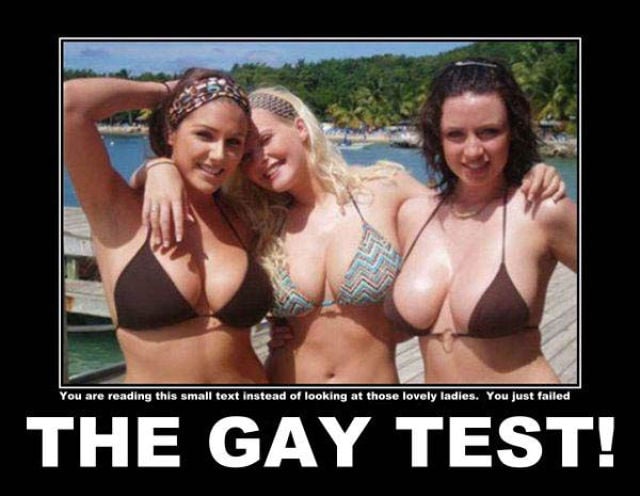 Demotivational Posters Test If You’re Gay