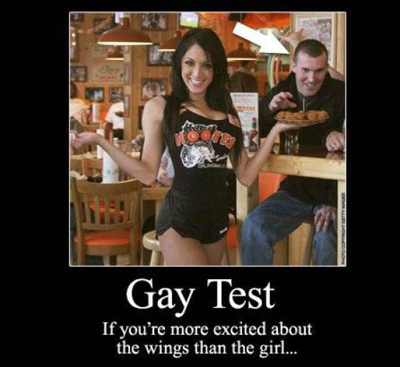 Demotivational Posters Test If You’re Gay