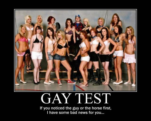 Demotivational Posters Test If You’re Gay